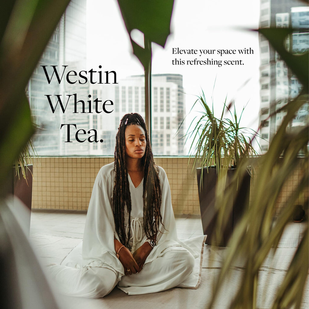 Westin White Tea Diffuser – Home Scent Machine, Hotel-Quality Waterless Fragrance for Large Rooms