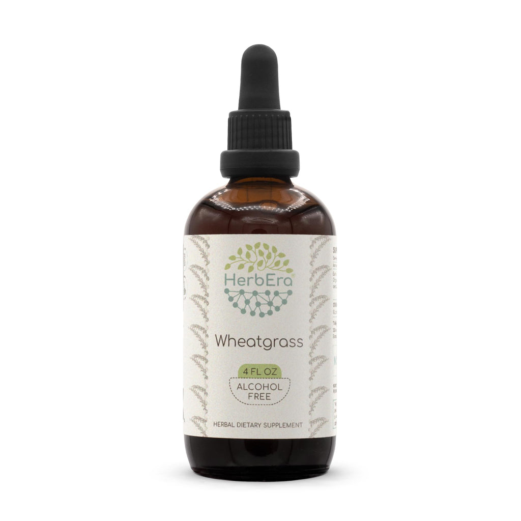 Wheatgrass B120 Alcohol-Free Herbal Extract Tincture - 4 fl oz