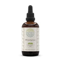 Wheatgrass B120 Alcohol-Free Herbal Extract Tincture - 4 fl oz