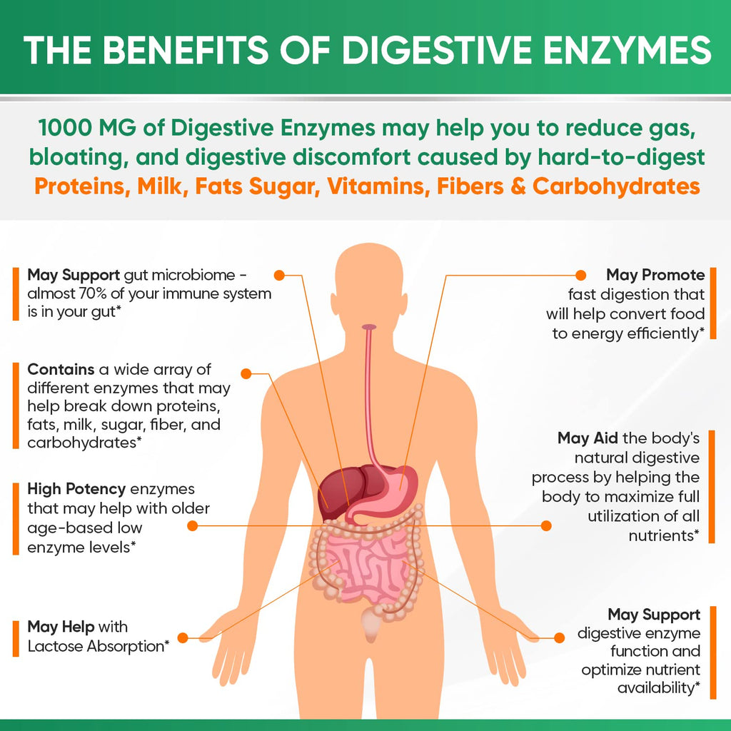 Wholesome Wellness Digestive Enzymes 1000MG + Prebiotics & Probiotics – 180 Capsules, Vegan