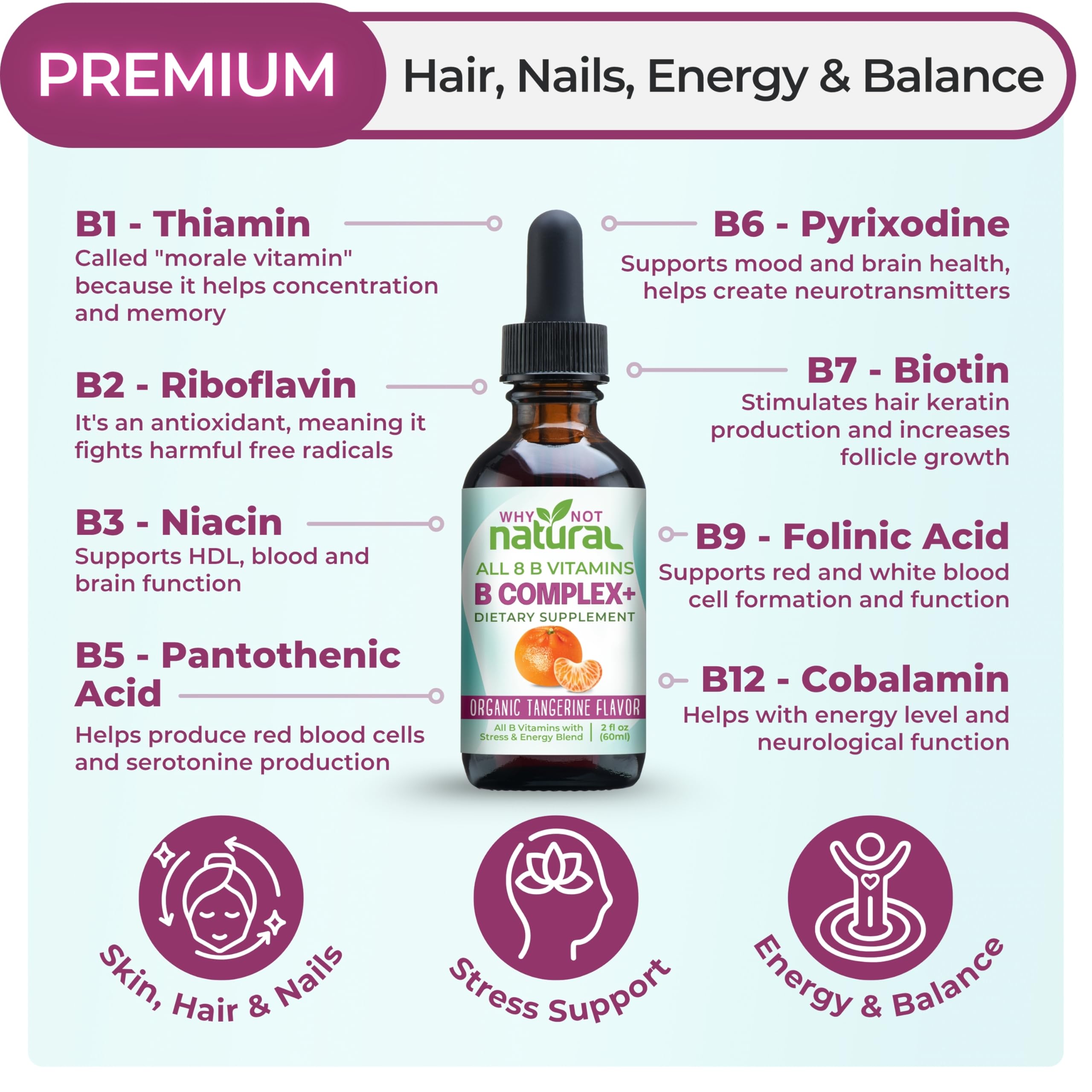 Why Not Natural Vitamin B Complex Liquid Drops | Vegan Sublingual B Vitamins for Women