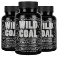 Wild Foods Activated Charcoal Capsules | 100% Organic Coconut Shells | USA Made & Lab Tested Detox Pills (Three Bottles - 120 Capsules)