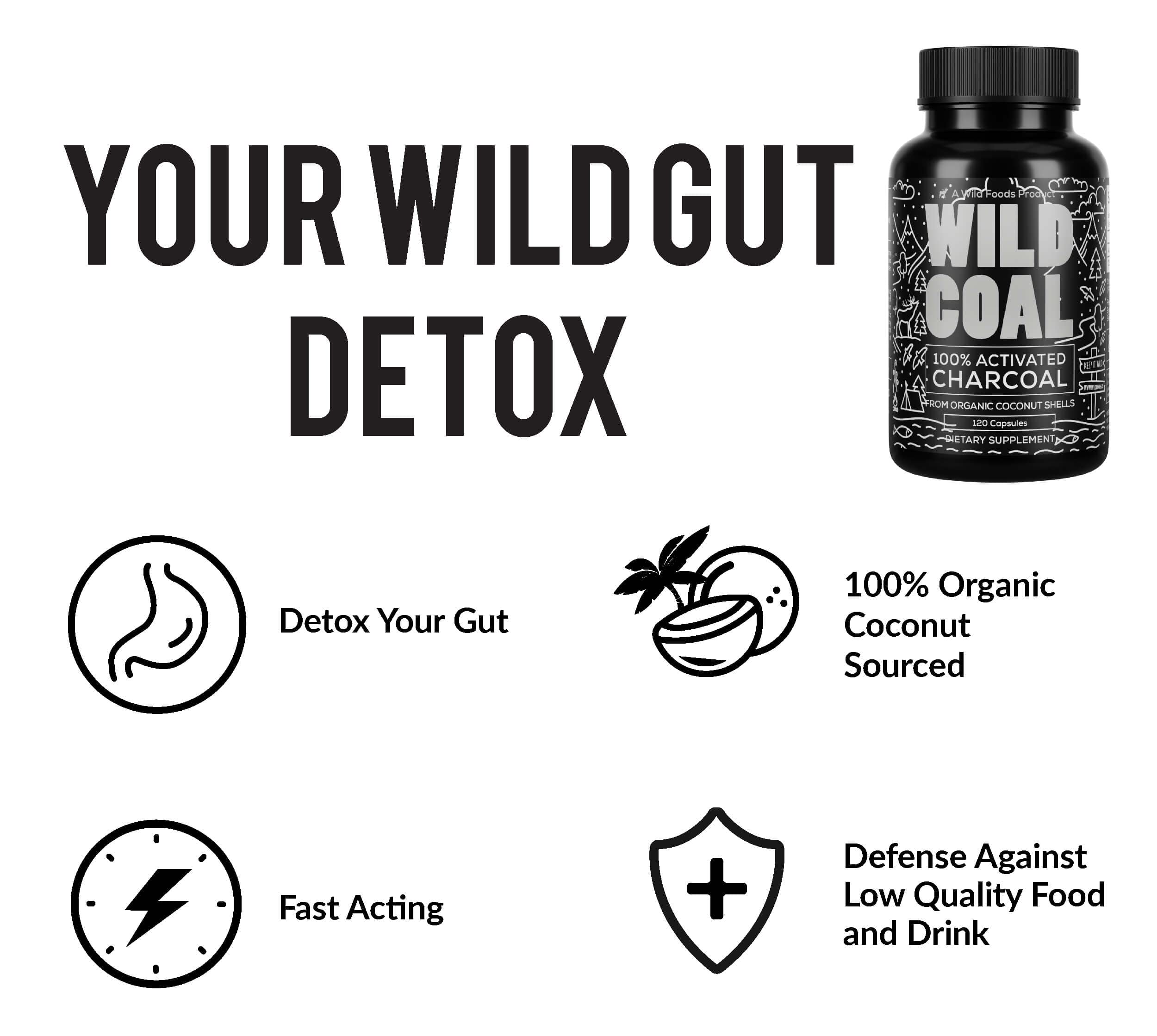 Wild Foods Activated Charcoal Capsules – 120 Capsules (Two Bottles) | Organic Coconut Shells | Lab Tested & Non-GMO | Detox & Bloating Relief | USA