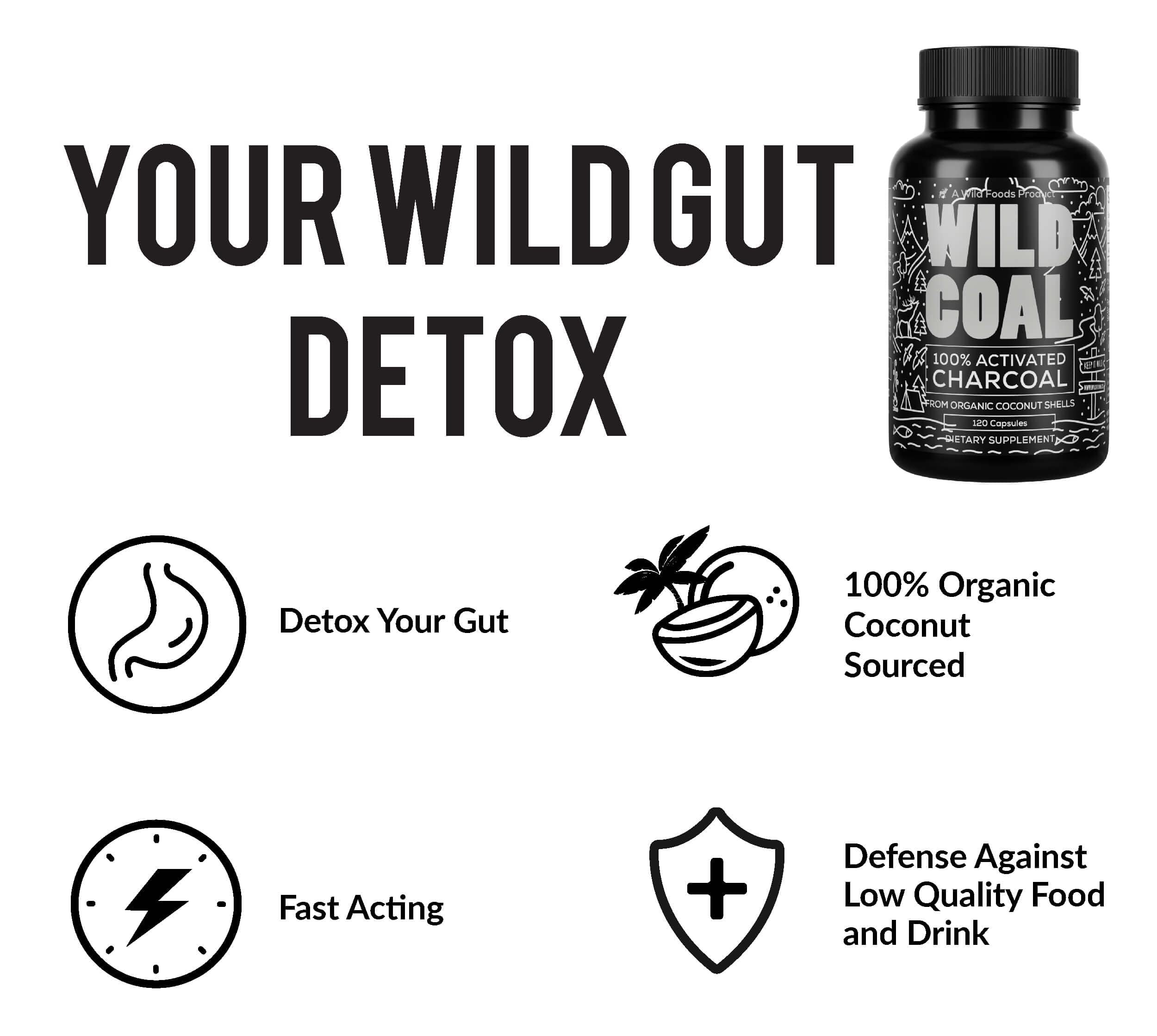 Wild Foods Activated Charcoal Capsules | 100% Organic Coconut Shells | USA Made & Lab Tested Detox Pills (Three Bottles - 120 Capsules)