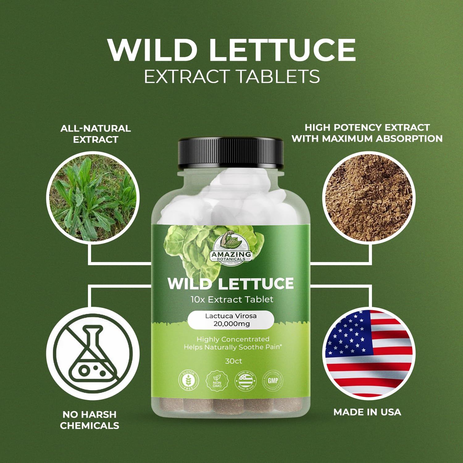Wild Lettuce Extract Tablets 10X 2000MG – Sleep Support | Lactuca Virosa