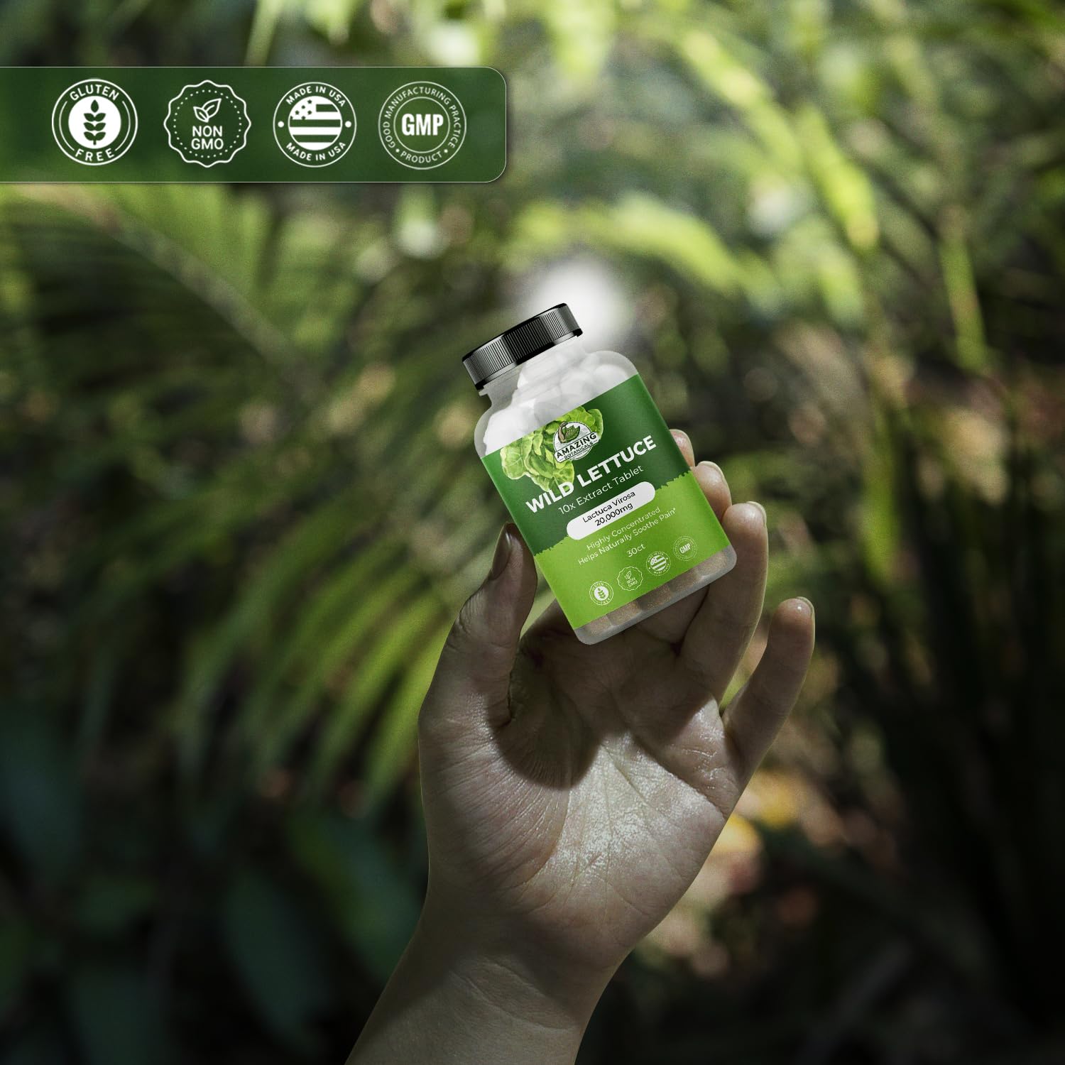 Wild Lettuce Extract Tablets 10X 2000MG – Sleep Support | Lactuca Virosa