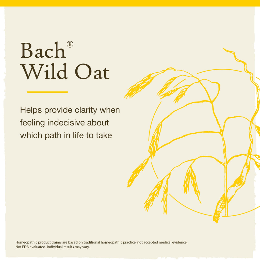 Bach Original Flower Remedies: Wild Oat - Decide Your Path | 20mL Dropper