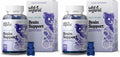 Wild & Organic Brain Support Gummies – Focus & Clarity with Ashwagandha, B12, Ginkgo, Bacopa – Vegan Gummies (Pack of 2) | 60 Gummies