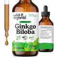 Wild & Organic Ginkgo Biloba Drops – Brain & Focus Support | 4 fl oz | Vegan, Alcohol-Free