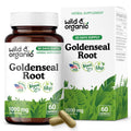Wild & Organic Goldenseal Root Capsules 1000mg – Immune & Lung Support (60 capsules) – Vegan, Non-GMO