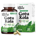 Wild & Organic Gotu Kola Capsules 600 mg – Brain & Focus Support | 120-Count, Vegan, Non-GMO