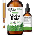 Wild & Organic Gotu Kola Tincture - Brain Support, Gotu Kola Liquid Extract Drops - Vegan, Sugar & Alcohol-Free 2 fl oz