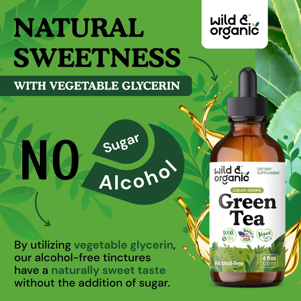 Wild & Organic Green Tea Extract Liquid Drops | 4 fl oz, 84-Day Supply, Vegan & Alcohol-Free