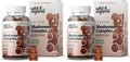 Wild & Organic Mushroom Gummies – 10-Mushroom Complex, Immune & Brain Support (60 Count Pack of 2)