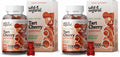Wild & Organic Tart Cherry Gummies 7000 mg - Tart Cherry Extract for Uric Level Support - 60 Vegan, Non-GMO Chews (Pack of 2)