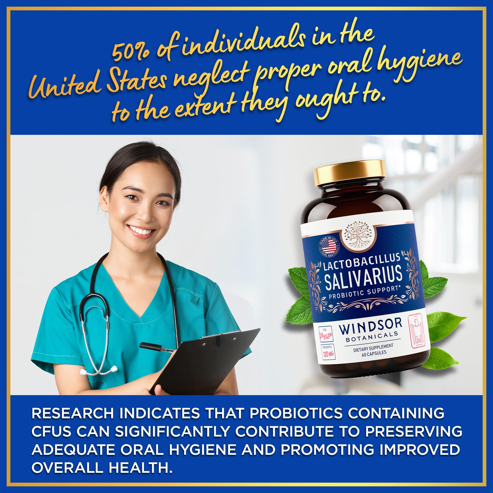 WINDSOR BOTANICALS Lactobacillus Salivarius Probiotic Capsules – 24bn CFU, 2-Pack, 120 Caps | Oral Health & Immune Support