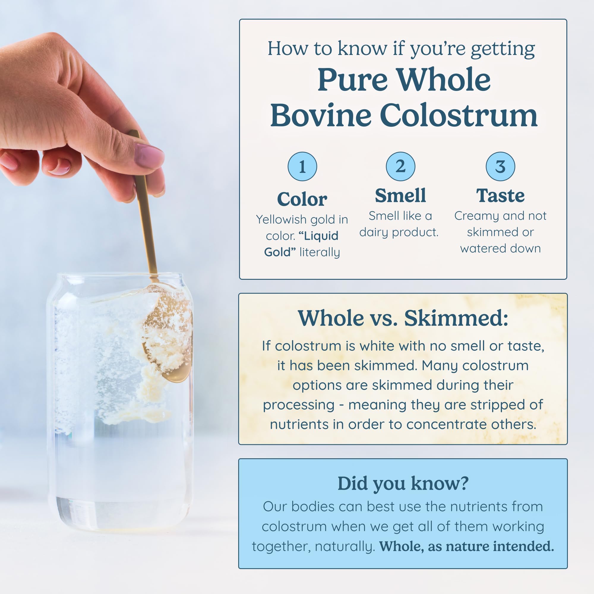 WONDERCOW Colostrum Powder for Gut Health, Immune Support & Recovery | Whole Bovine Colostrum, Unflavored, 30 Servings