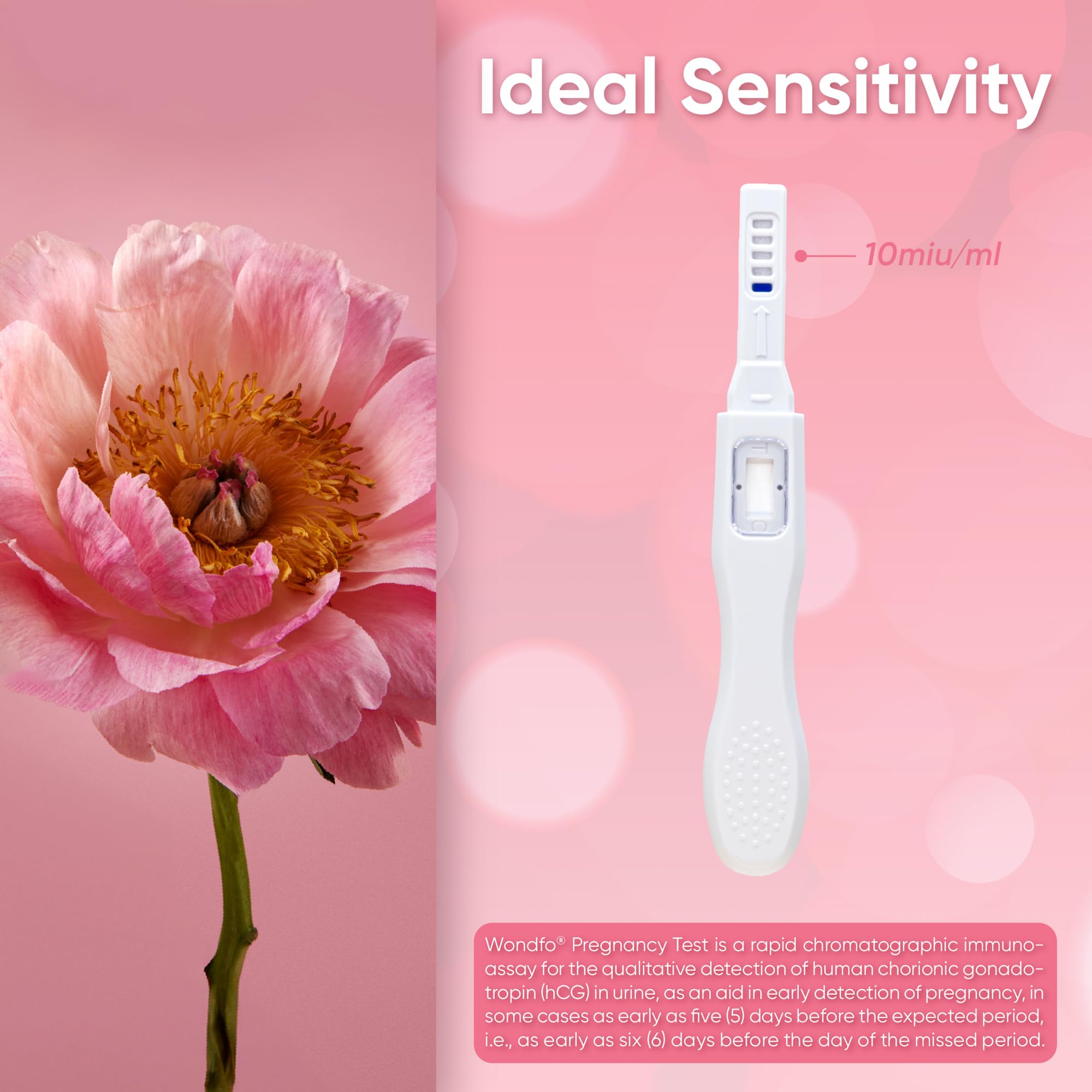 Wondfo Early Result Pregnancy Test Sticks - 2 Pack (6 Days Early) | Home Use