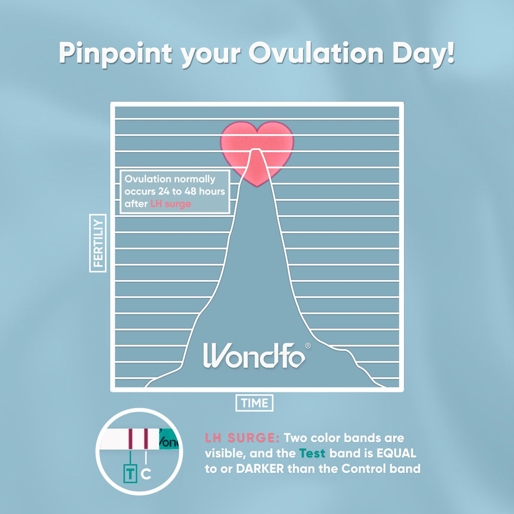 Wondfo Ovulation Test Strips - 25 Count | Fertility Tracking & LH Surge