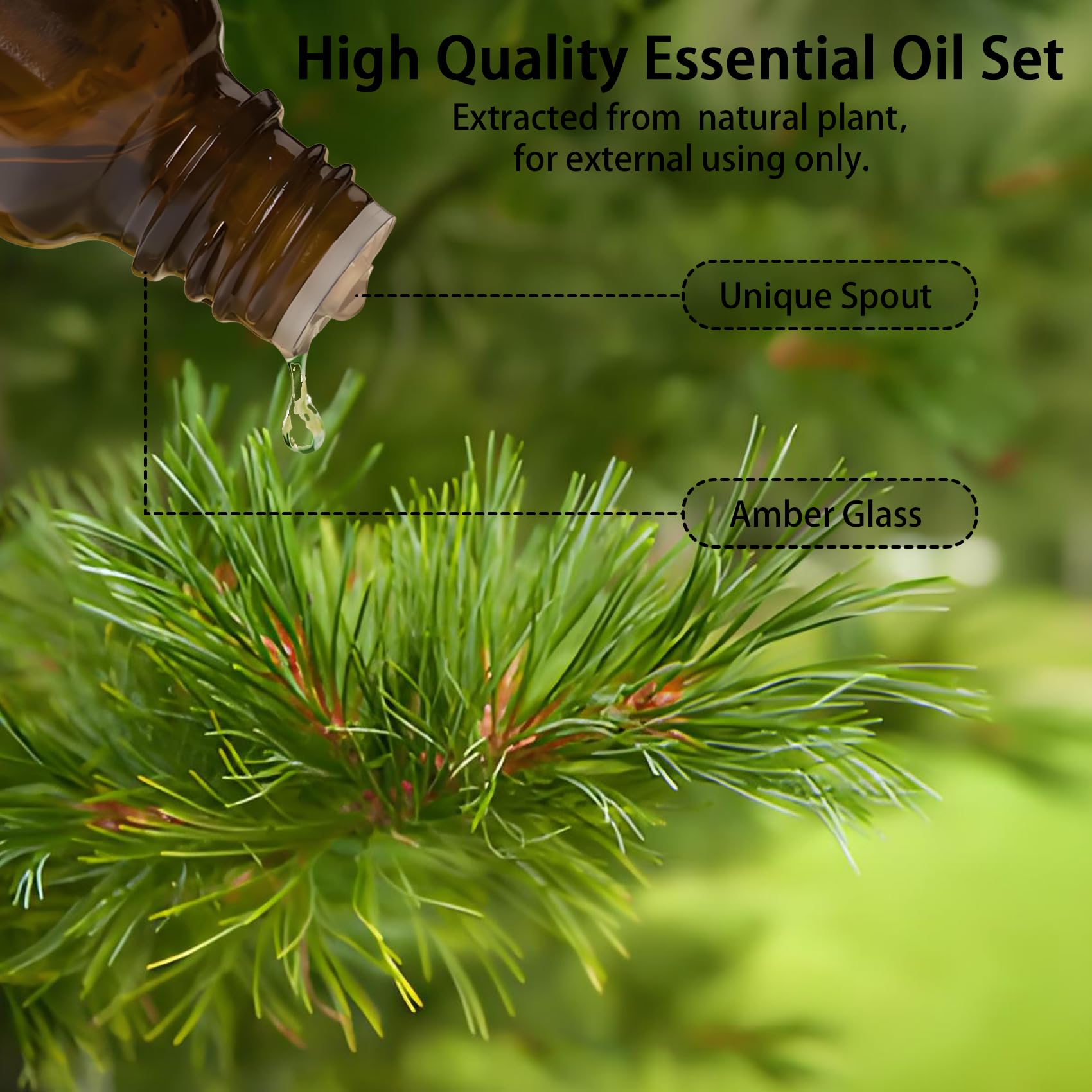 Wtrcsv Essential Oils Set – Eucalyptus, Lavender, Cedarwood & Sweet Orange | Diffuser & DIY Projects
