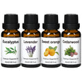 Wtrcsv Essential Oils Set – Eucalyptus, Lavender, Cedarwood & Sweet Orange | Diffuser & DIY Projects