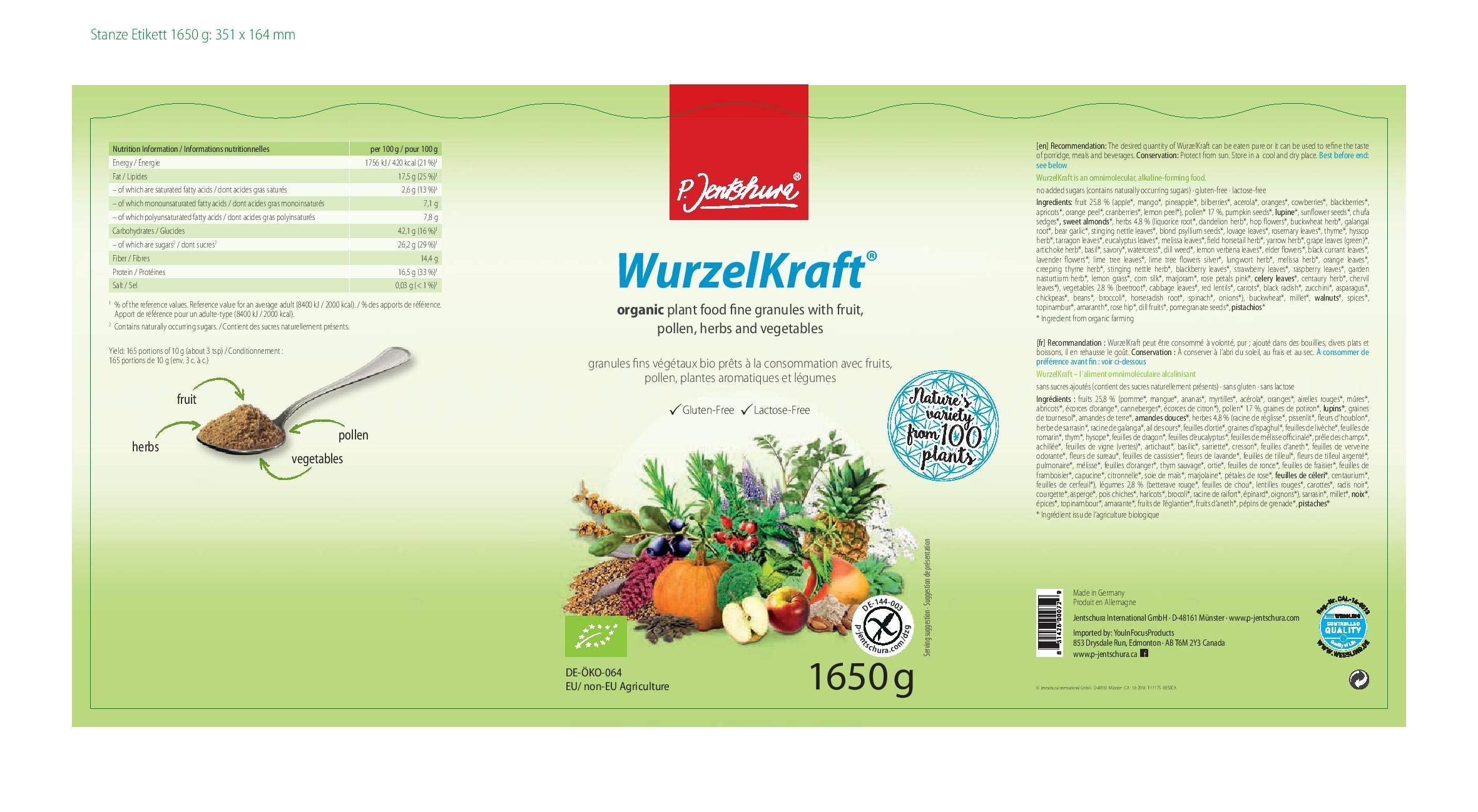 Dr. Jentschura's WurzelKraft – Alkaline Organic Super Food with 103 Herbs, 300g
