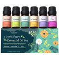 WUSEONY 6 Natural Aromatherapy Oils Gift Set – Lavender, Peppermint & More