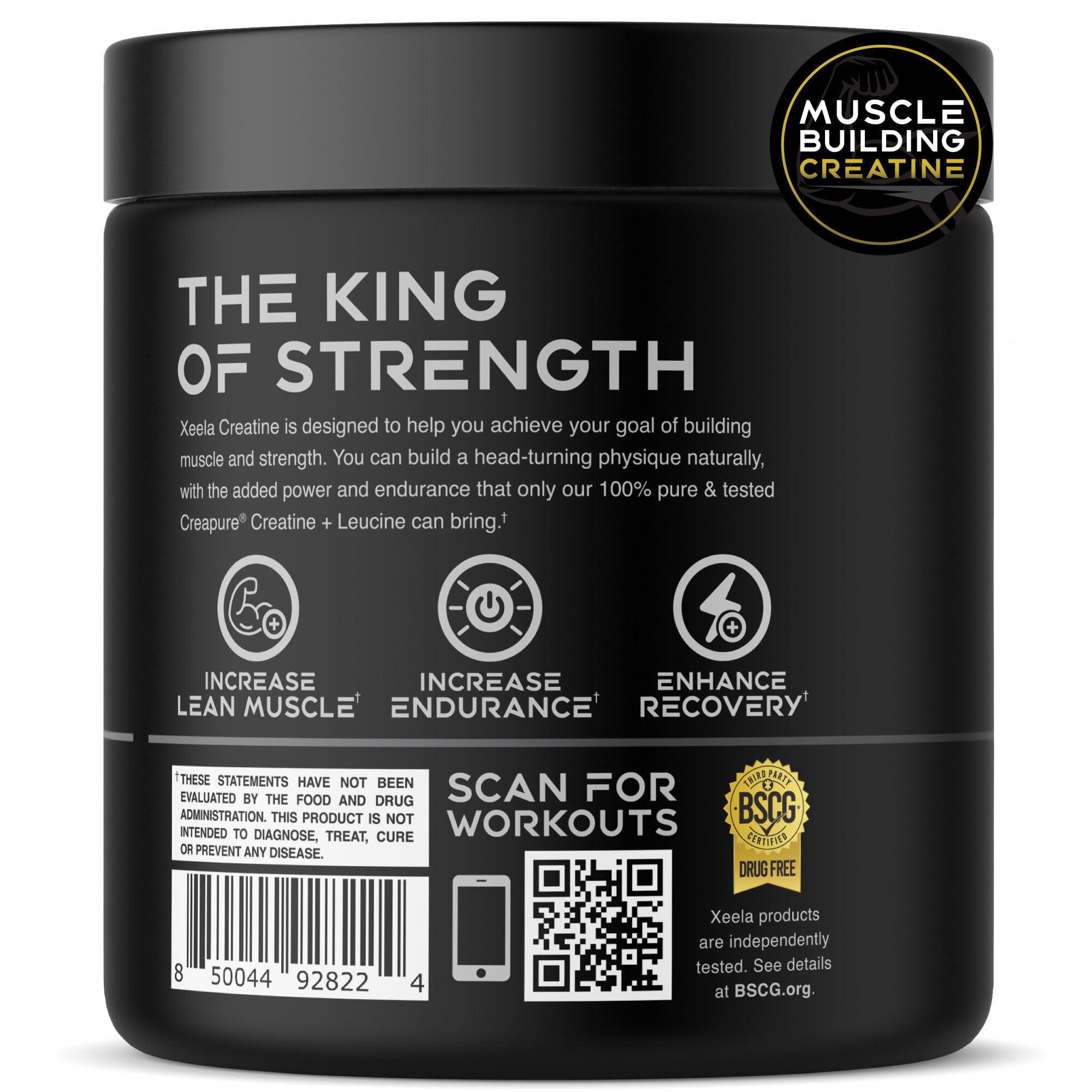XEELA Creatine for Lean Muscle Gain – Unflavored, 60 Servings | Creapure, Vegan