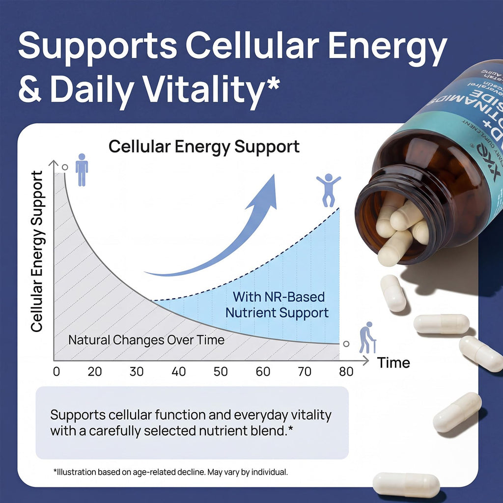 XKQ NAD+ Supplement 910mg – 60 Servings | Nicotinamide Riboside for Energy & Healthy Aging