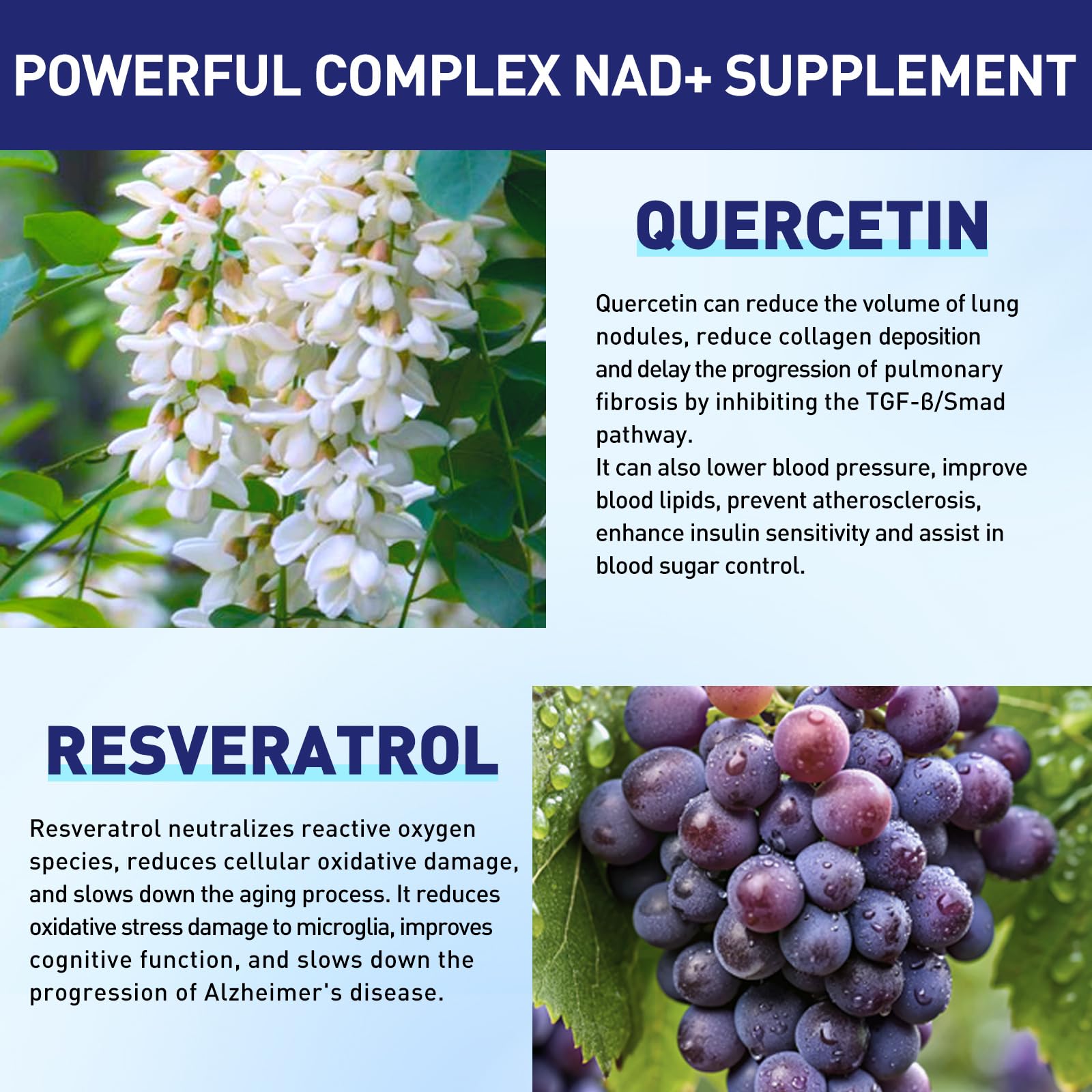 XKQ NAD+ Supplement 910mg – 60 Servings | Nicotinamide Riboside for Energy & Healthy Aging