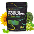 Xyro Research Liposomal Sulforaphane Gummies – 150mg Broccoli Sprout Extract | Vegan, Non-GMO, Sugar-Free