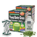 Yamamoto Kanpoh Yamakan Young Barley Grass Powder – Pure Green Nutrition, 88 Non-GMO Sachets (Japan)