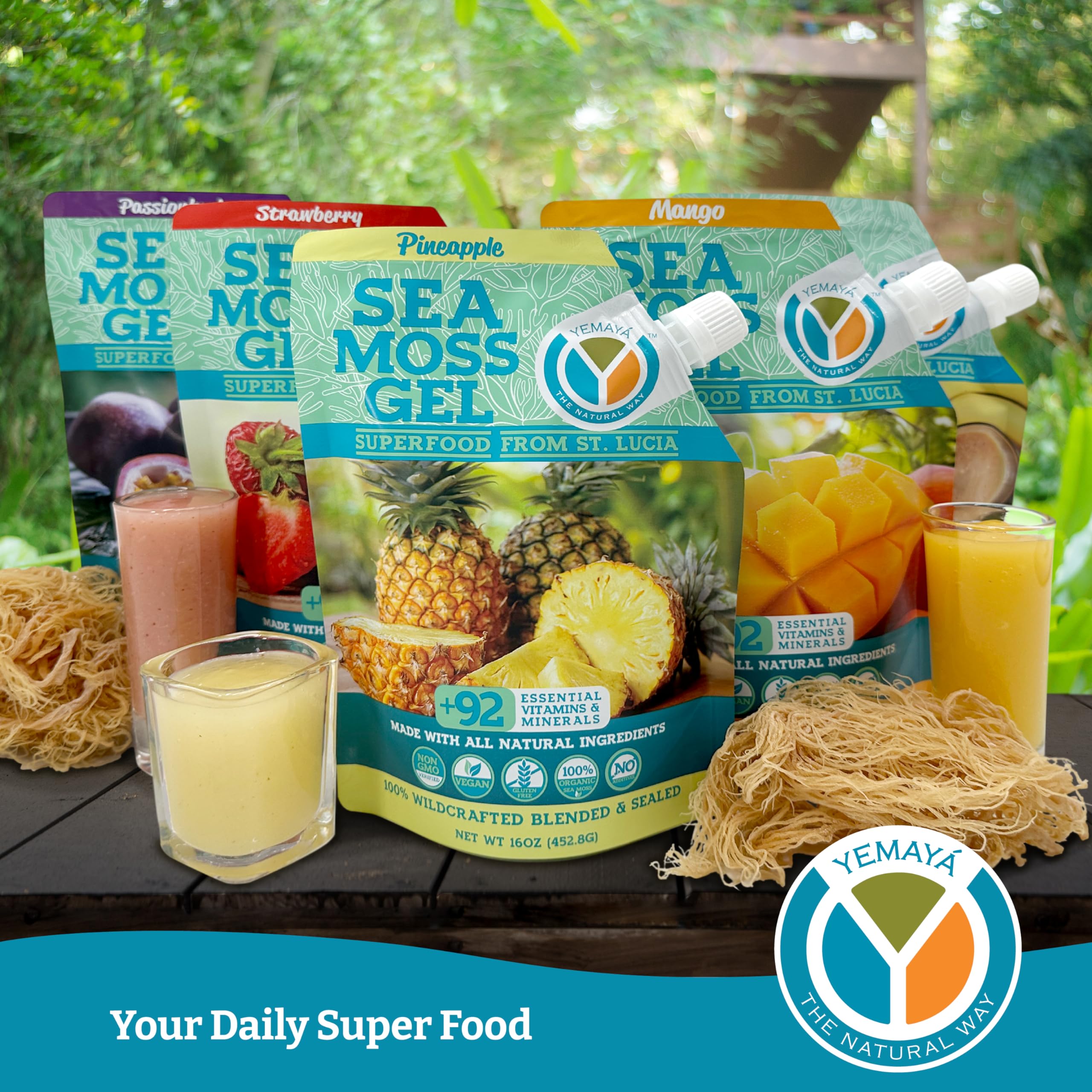Yemayá Organic Sea Moss Gel – Wildcrafted Raw Sea Moss Gel with Fruit | 16 oz