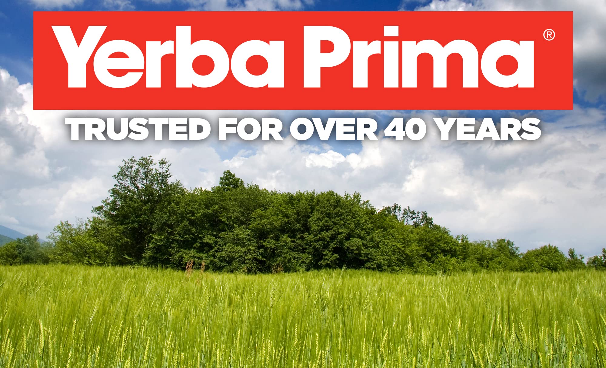 Yerba Prima Psyllium Husks Veg Caps – 4x180 Count | Vegan, Gluten Free, Non-GMO Fiber