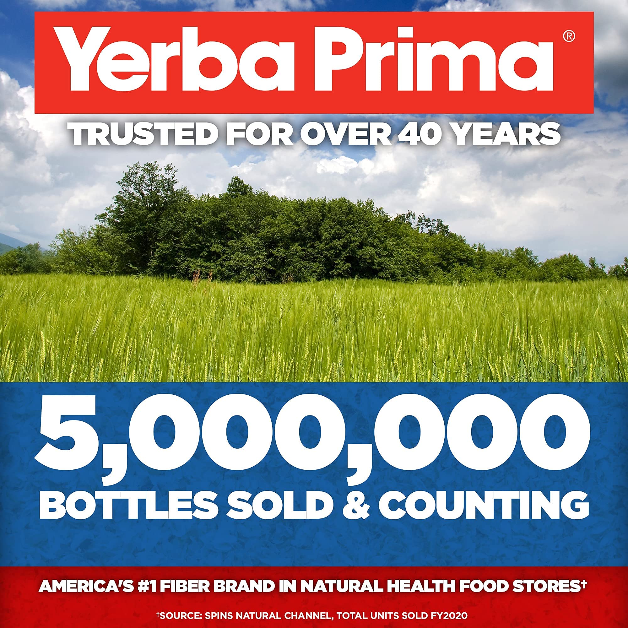 Yerba Prima Organic Psyllium Whole Husks - 20 oz Colon Cleanser | Regularity, Detox, Gluten Free, Non-GMO, Vegan