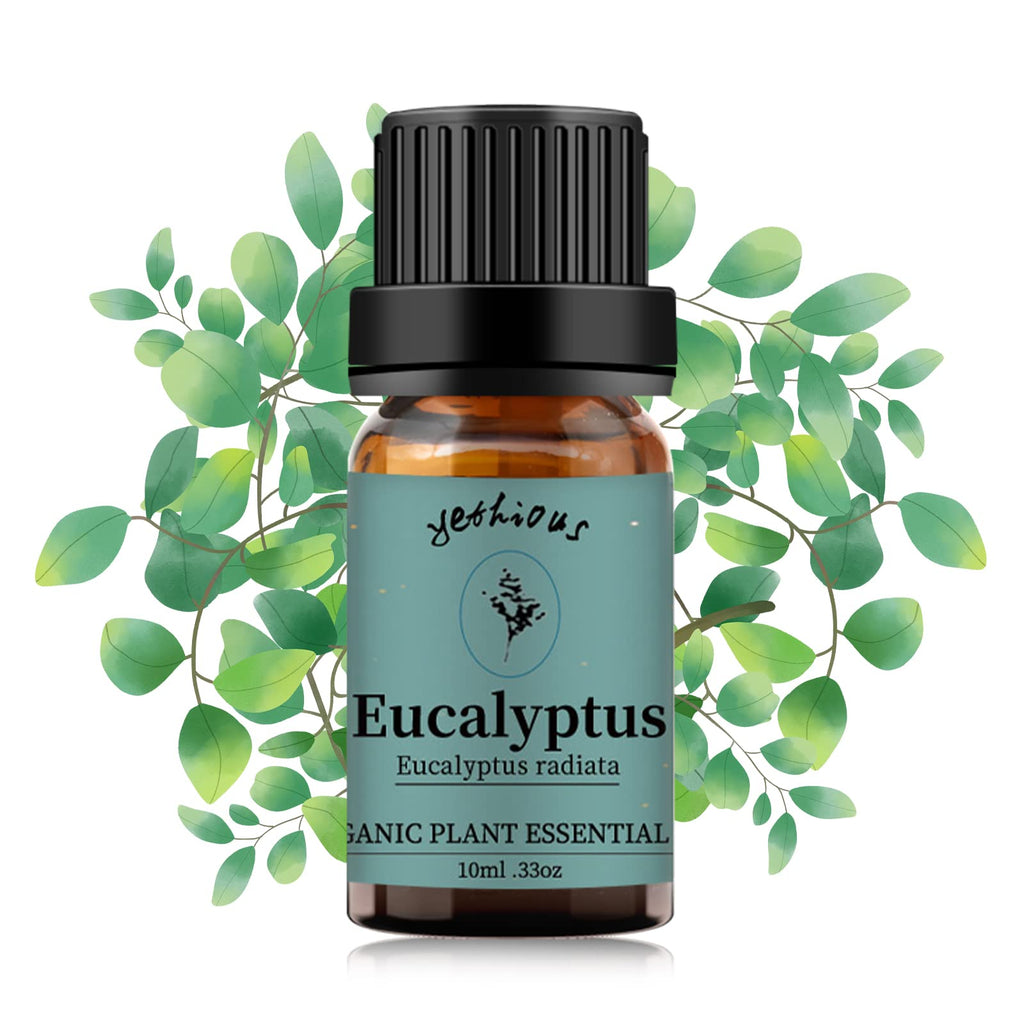 Yethious Eucalyptus Essential Oil 10ml – Diffuser & Aromatherapy