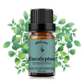 Yethious Eucalyptus Essential Oil 10ml – Diffuser & Aromatherapy