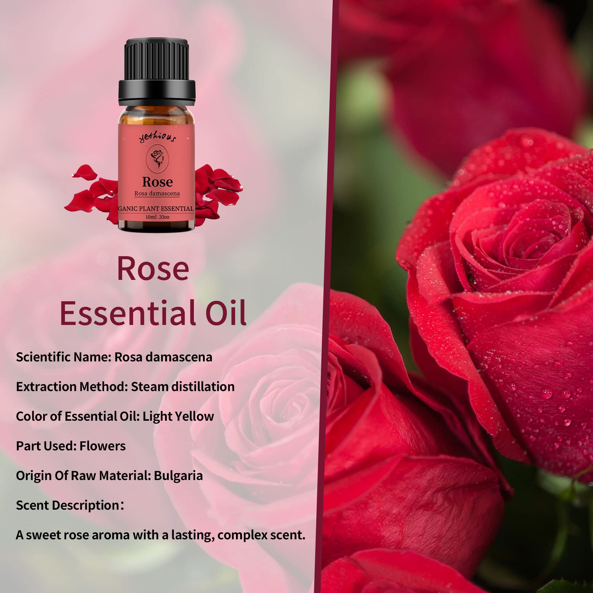 Yethious Rose Jasmine Chamomile Essential Oil Set – 100% Pure Organic, 3 x 10ml for Diffuser, Soap & Candle Making
