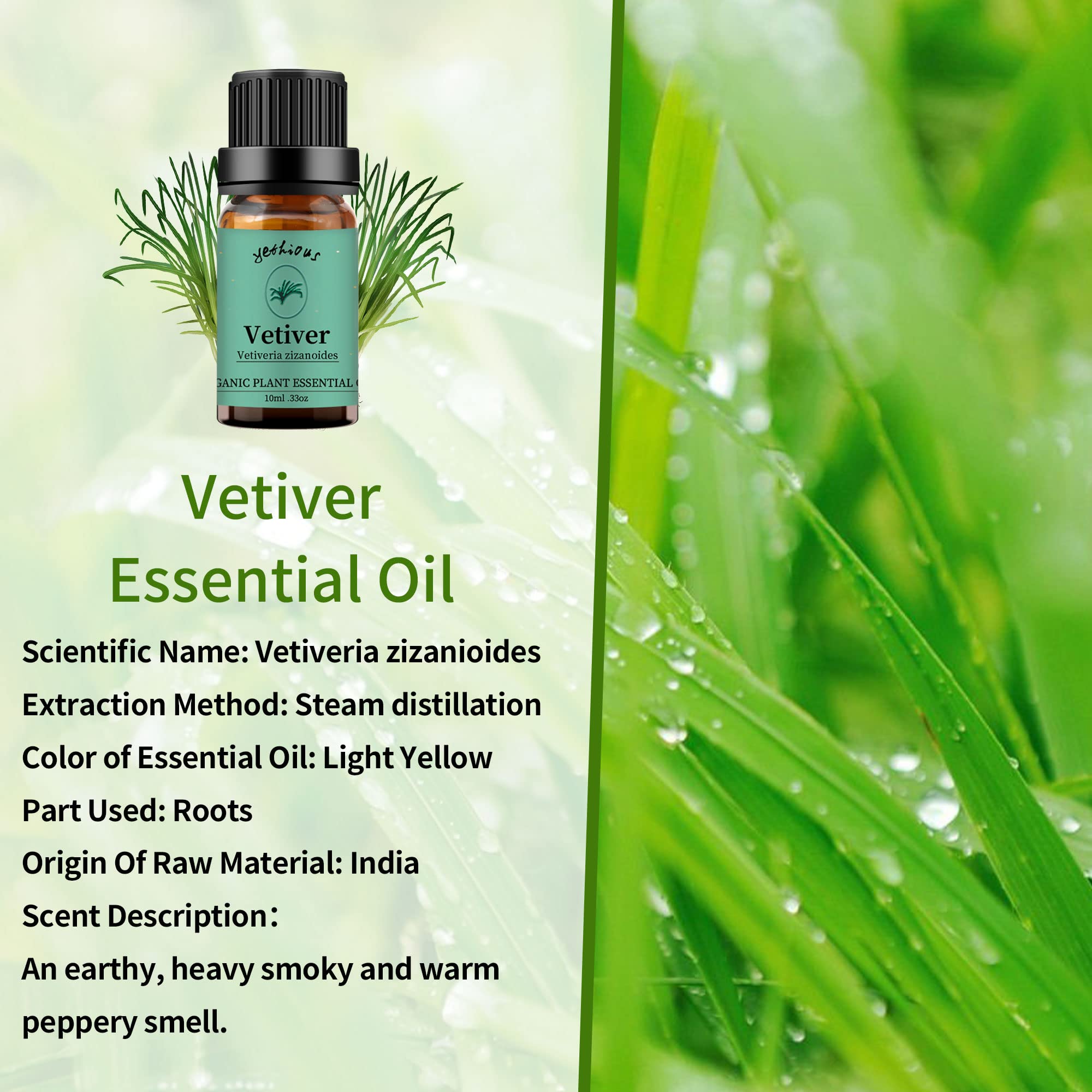 Yethious Vetiver Essential Oil 10ml | Pure Vetiver Oil for Diffuser & Aromatherapy