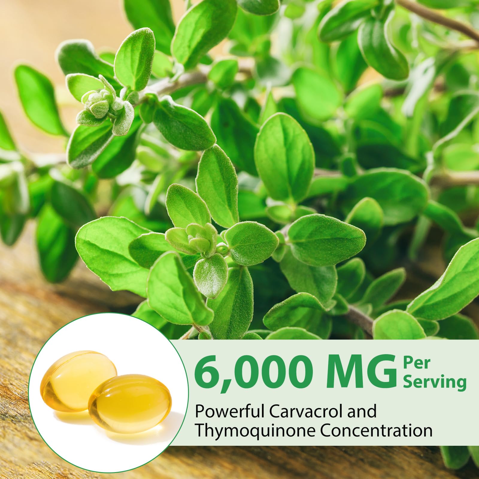 YIEEGCM Wild Oregano Oil Softgels with Black Seed Oil – 6,000mg/Serving, 120 Caps | Plant-Based, Non-GMO, High Carvacrol