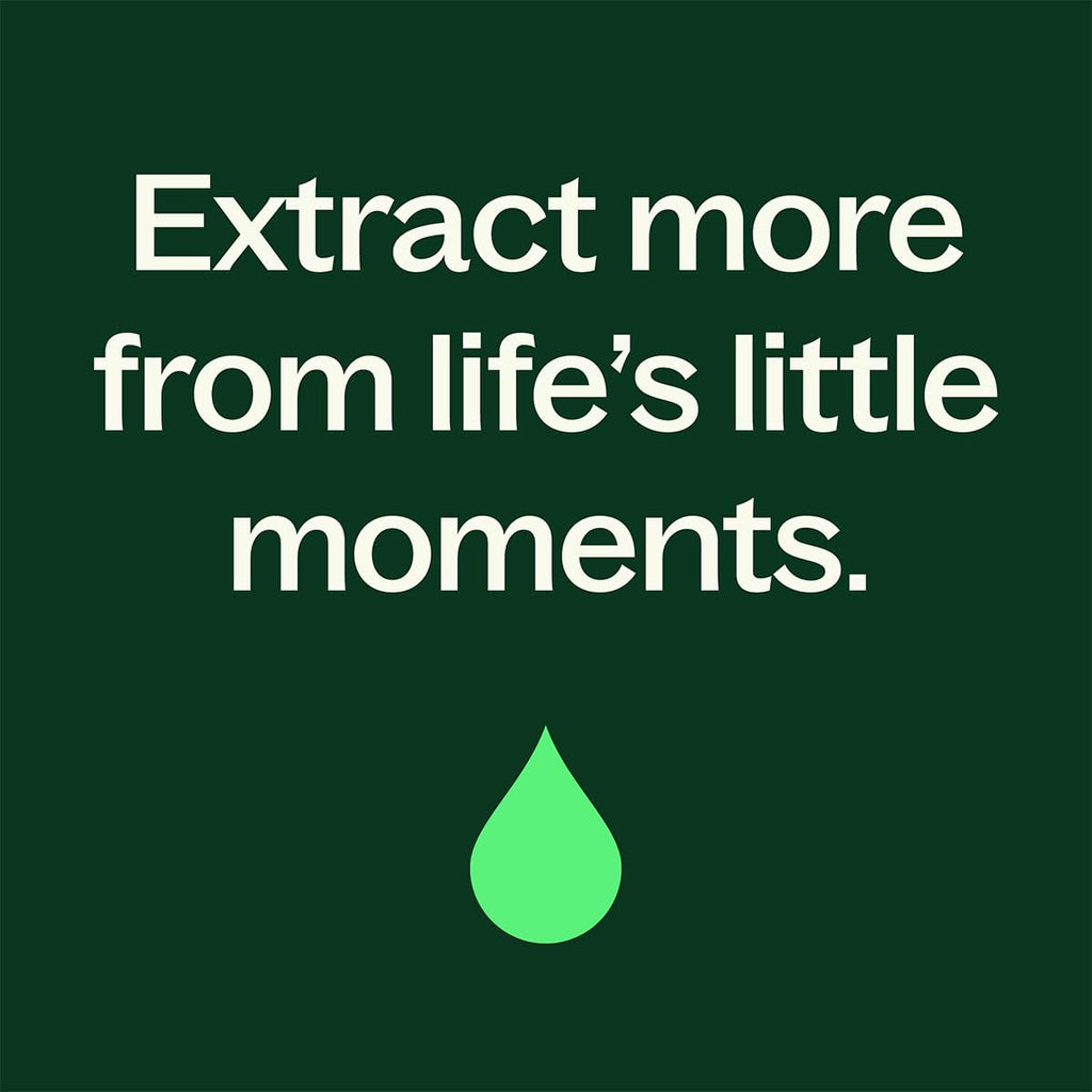 Plant Therapy Wood Spice Essential Oil Blend 10 mL – 100% Pure, Undiluted, Therapeutic Grade