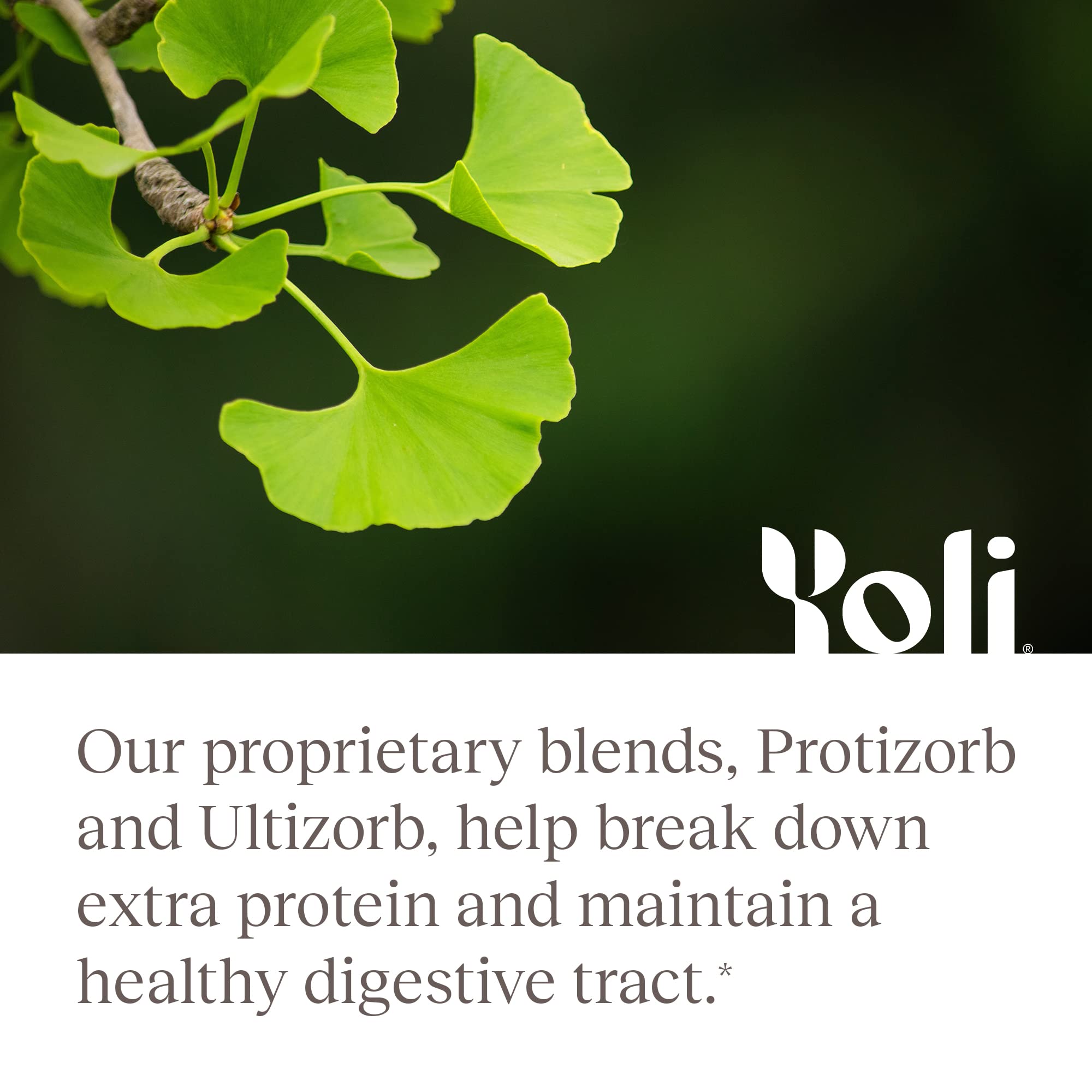 Yoli® Enzyme – Digestive Enzymes & Gut Health Supplement (60 Count)