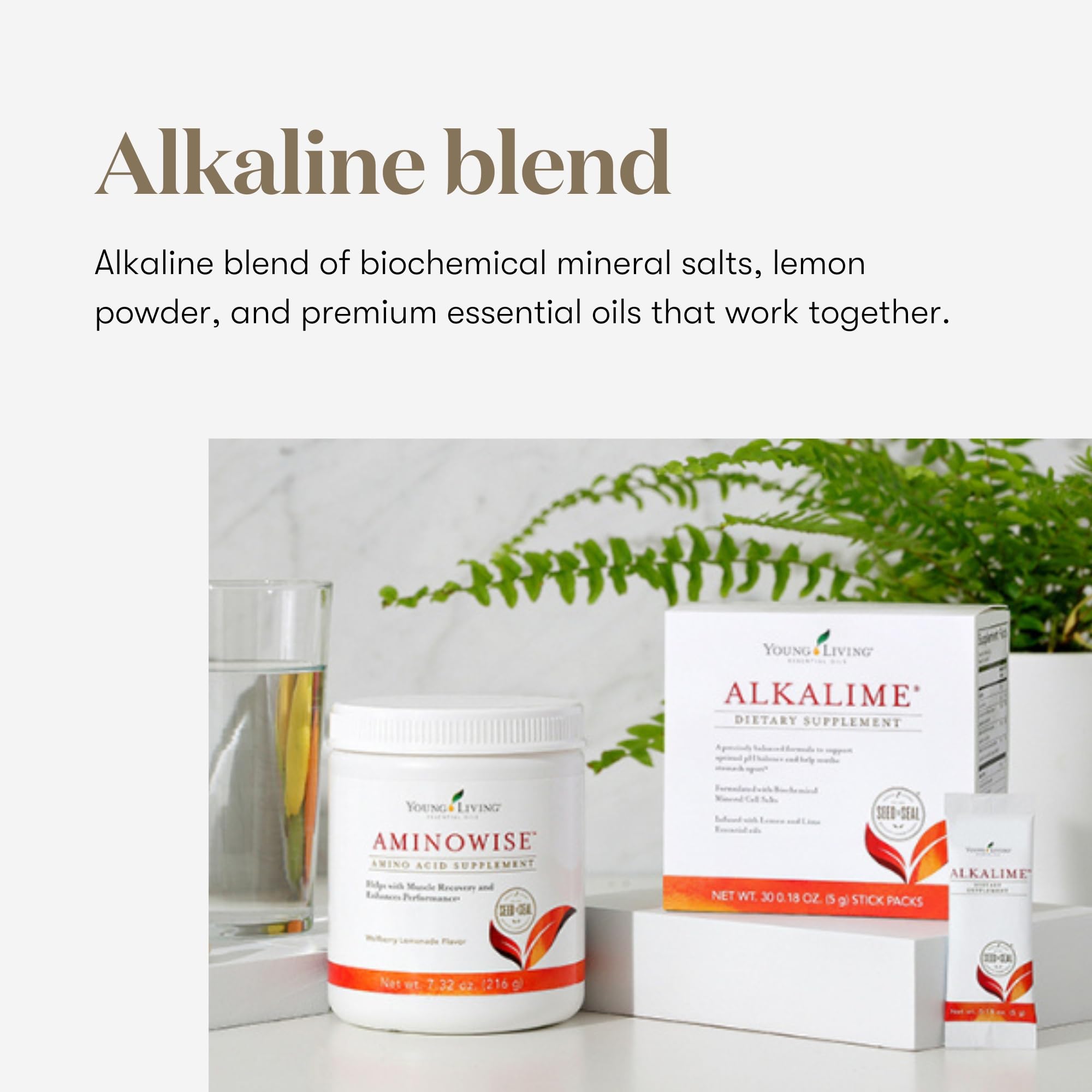Young Living AlkaLime Stick Packs - 30 ct | Digestive Wellness, Gentle on Stomach | Vitamin & Mineral Supplement
