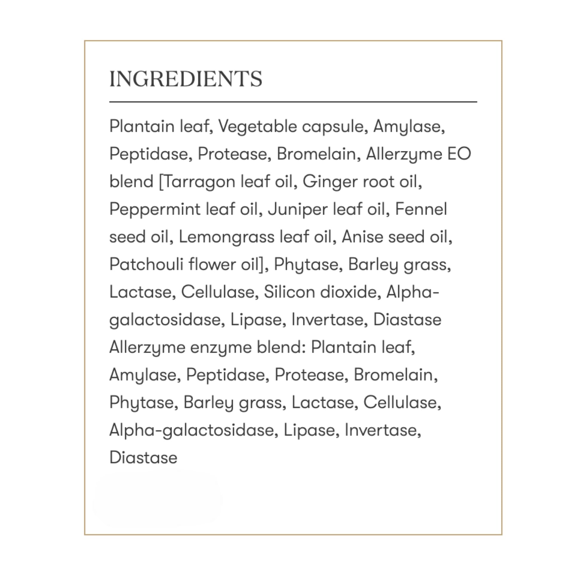 Young Living Allerzyme - 90 Ct Vegetarian Digestive Enzyme Capsules with Tarragon & Ginger