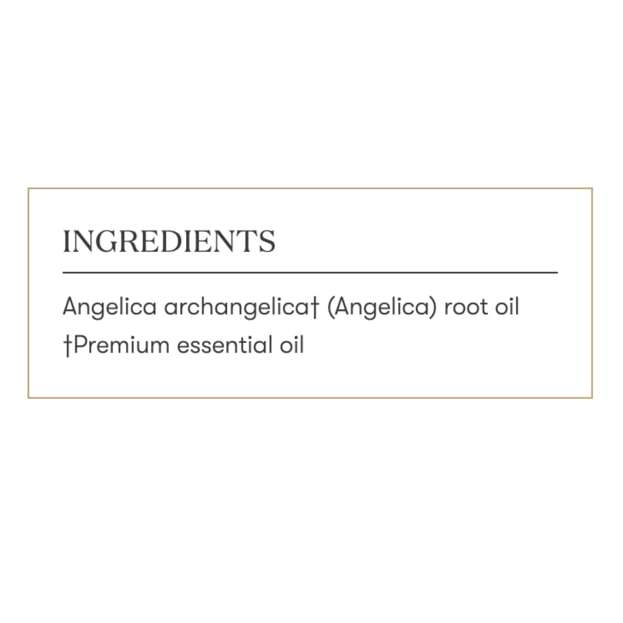 Young Living Angelica Premium Essential Oil – Calming Aromatic Diffuser Blend (5ml)