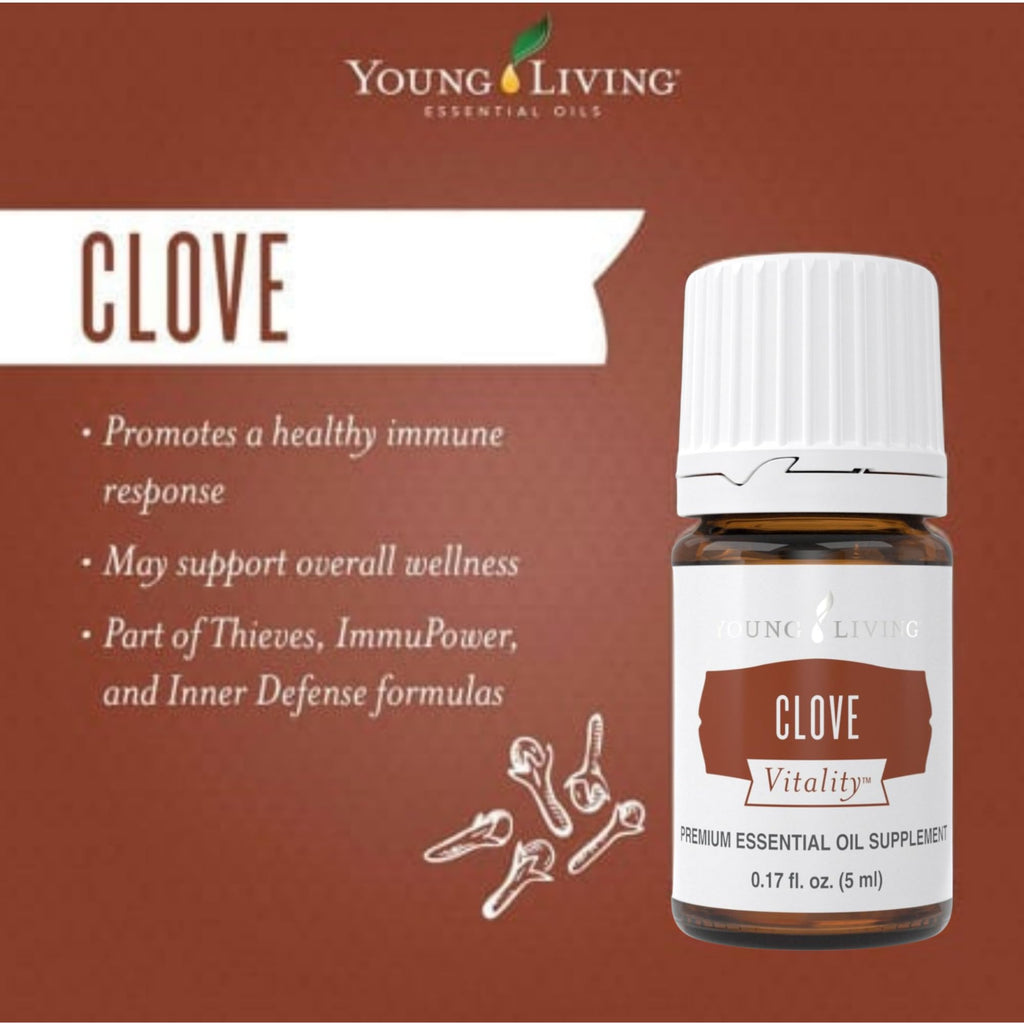Clove Vitality 5ml by Young Living – Antioxidant Support & Culinary Essential Oil