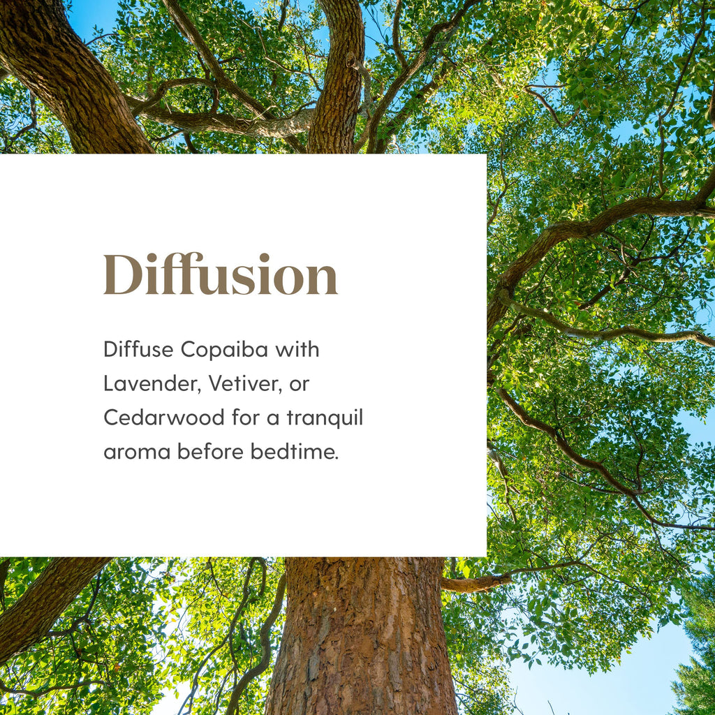 Copaiba Essential Oil by Young Living | 15 ml — Topical & Aromatic