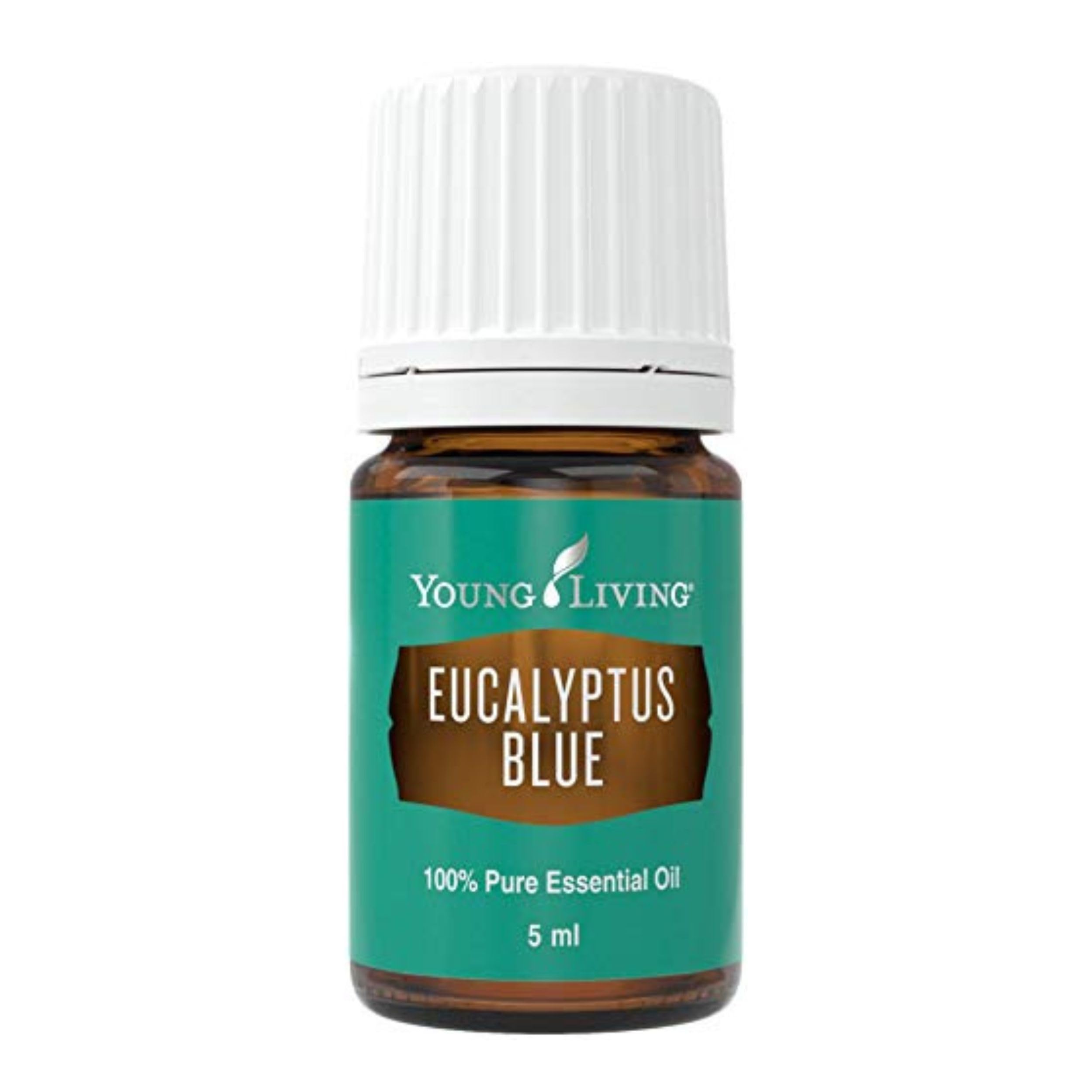 Young Living Eucalyptus Blue Essential Oil – 5 ml | Pure Botanical Extract for Diffusers & Aromatherapy