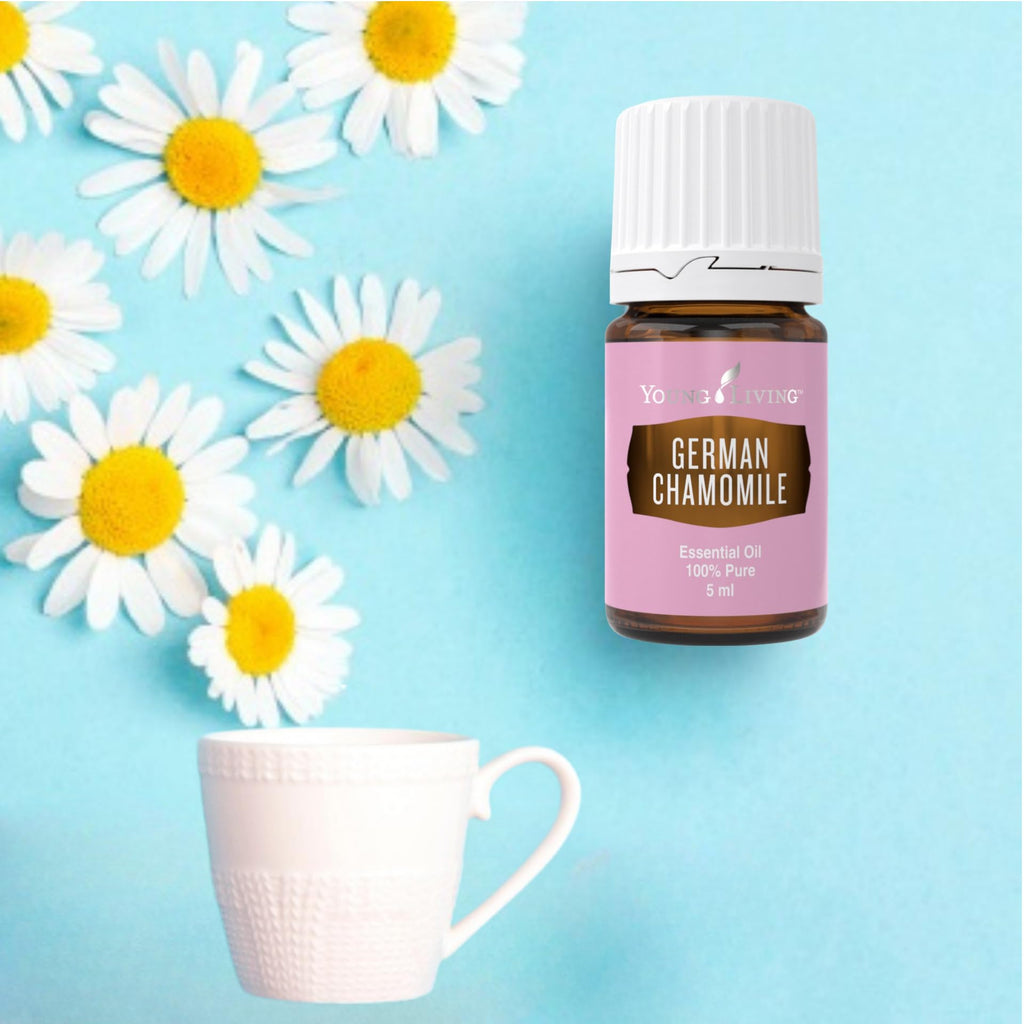 German Chamomile 5ml by Young Living – Calming Aroma, Skin Care & Meditation