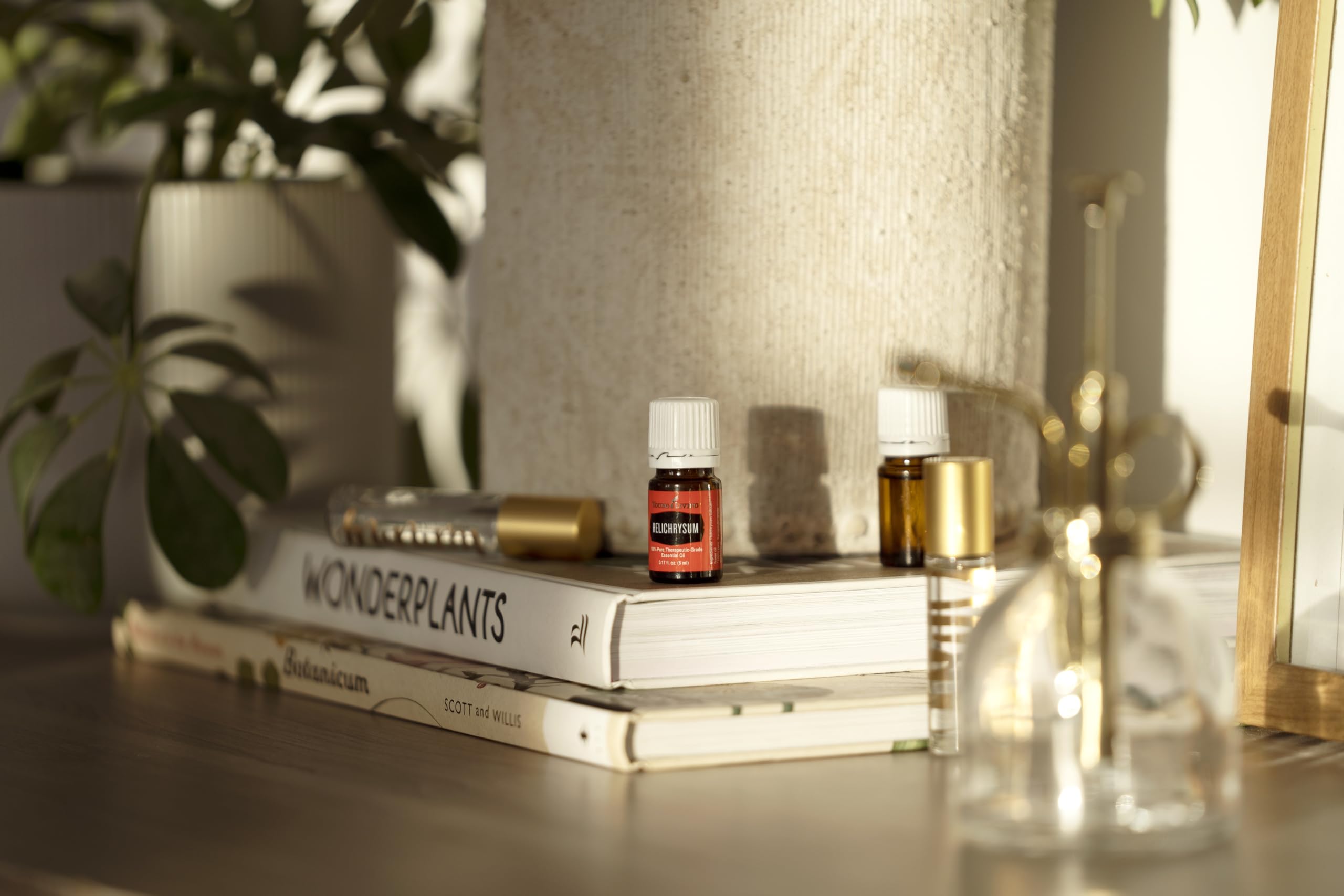 Young Living Helichrysum Essential Oil 5 ml | Pure Helichrysum Italicum